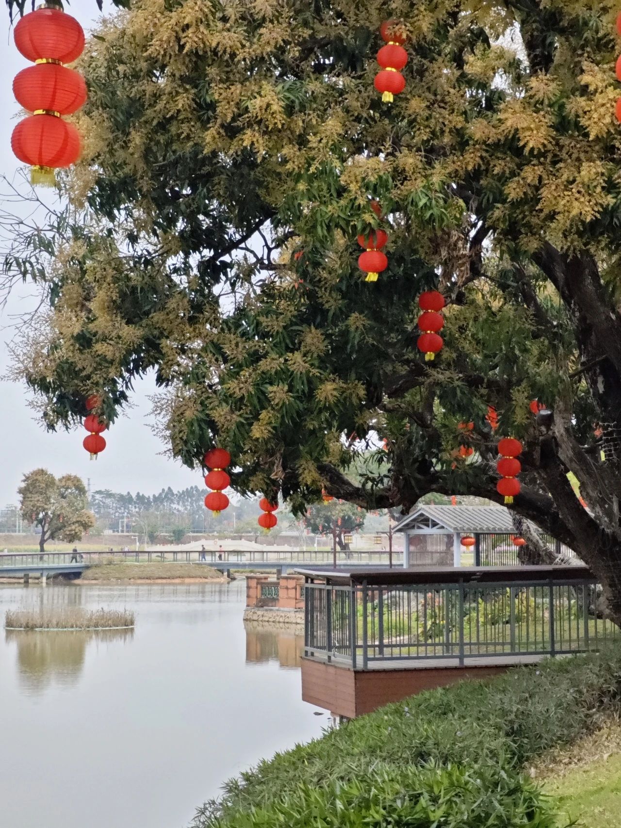 微信图片_20250305115626.jpg