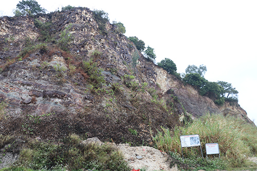 3【标题】大朗加强地质灾害隐患点巡查.JPG