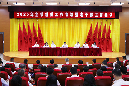 2【标题】大朗召开2025年全镇组织工作会议暨老干部工作会议.JPG