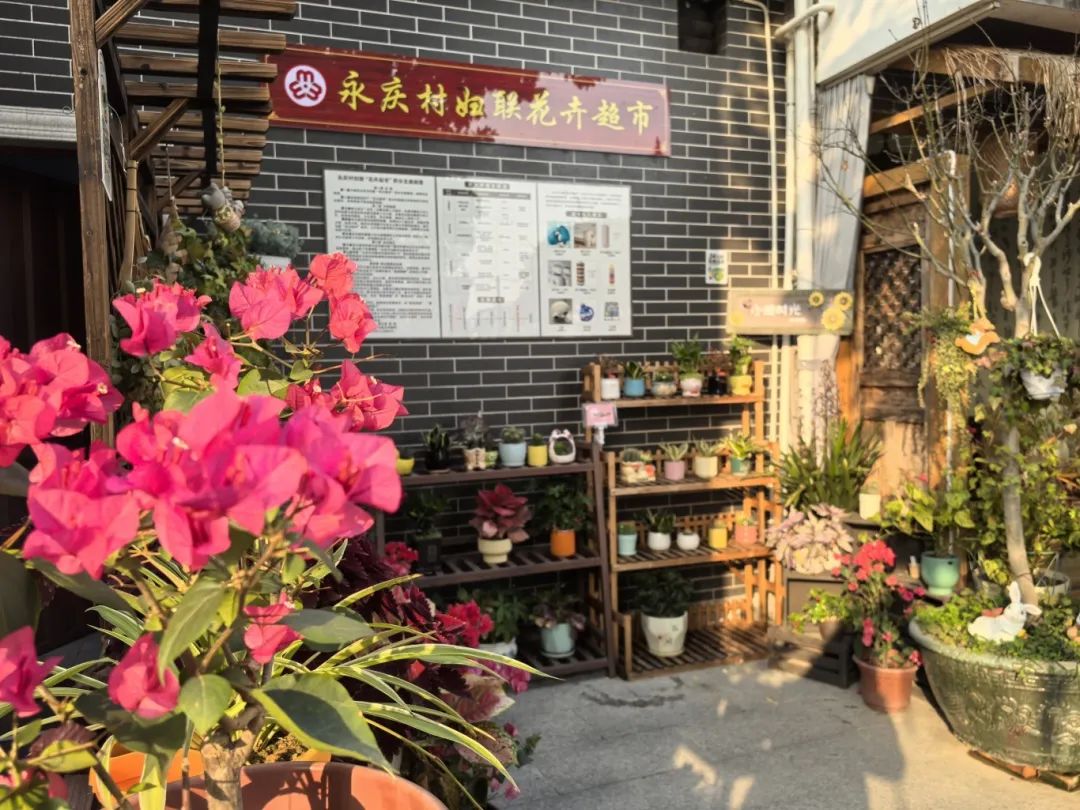 微信图片_20250318173214.jpg