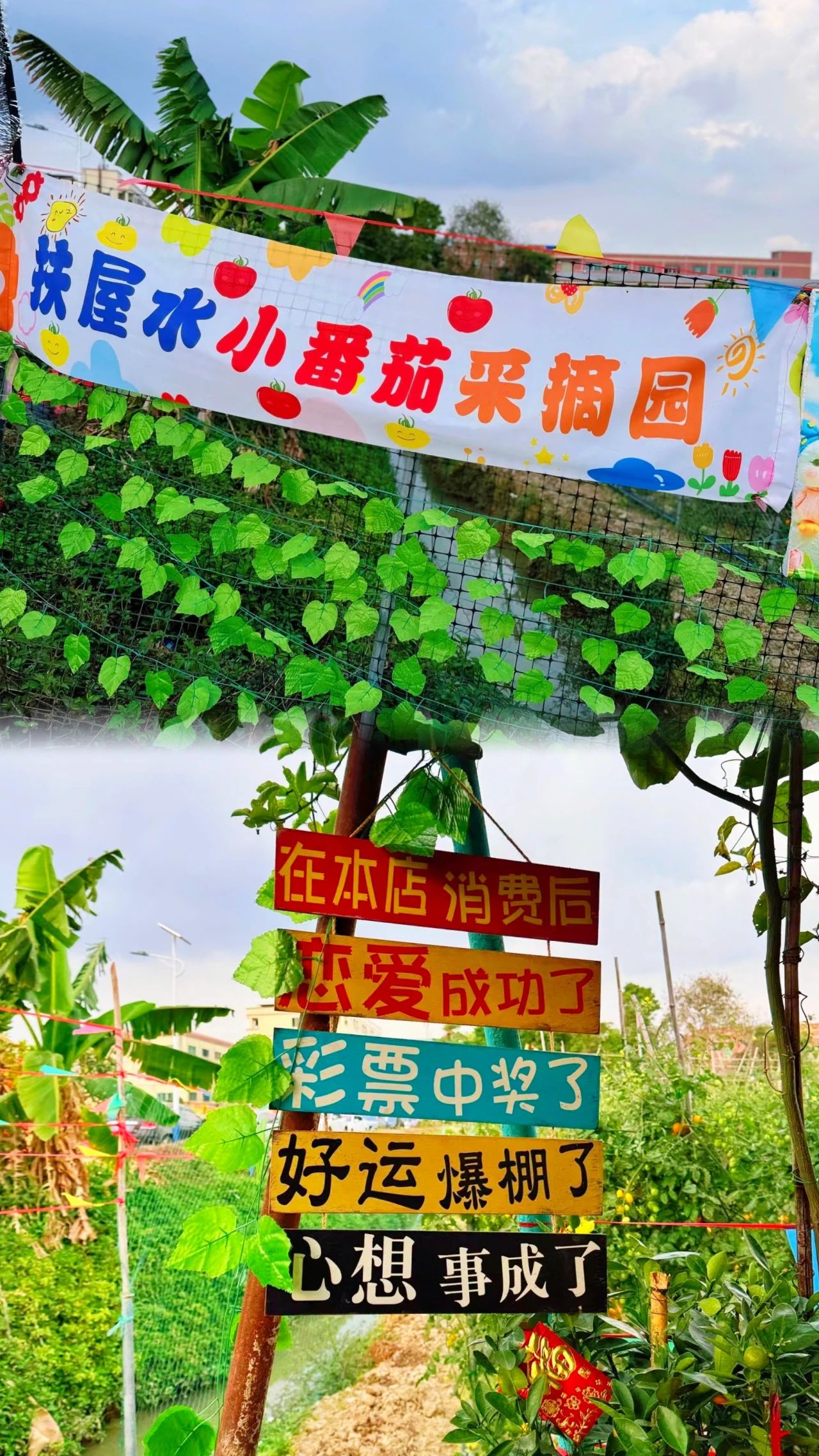微信图片_20250324102656.jpg