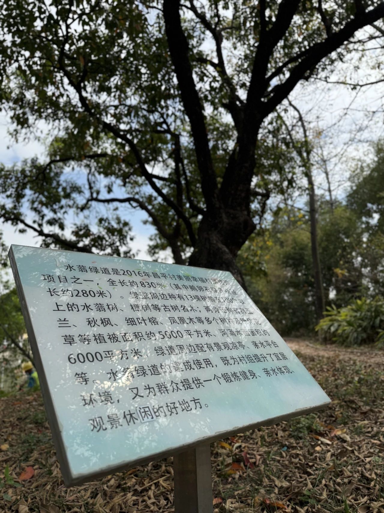 微信图片_20250324144011.jpg