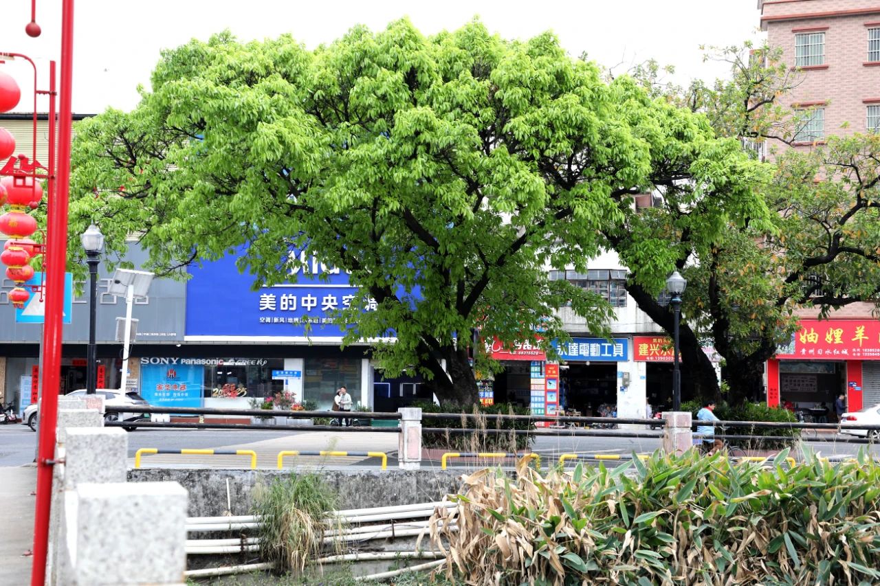 微信图片_20250401102945.jpg