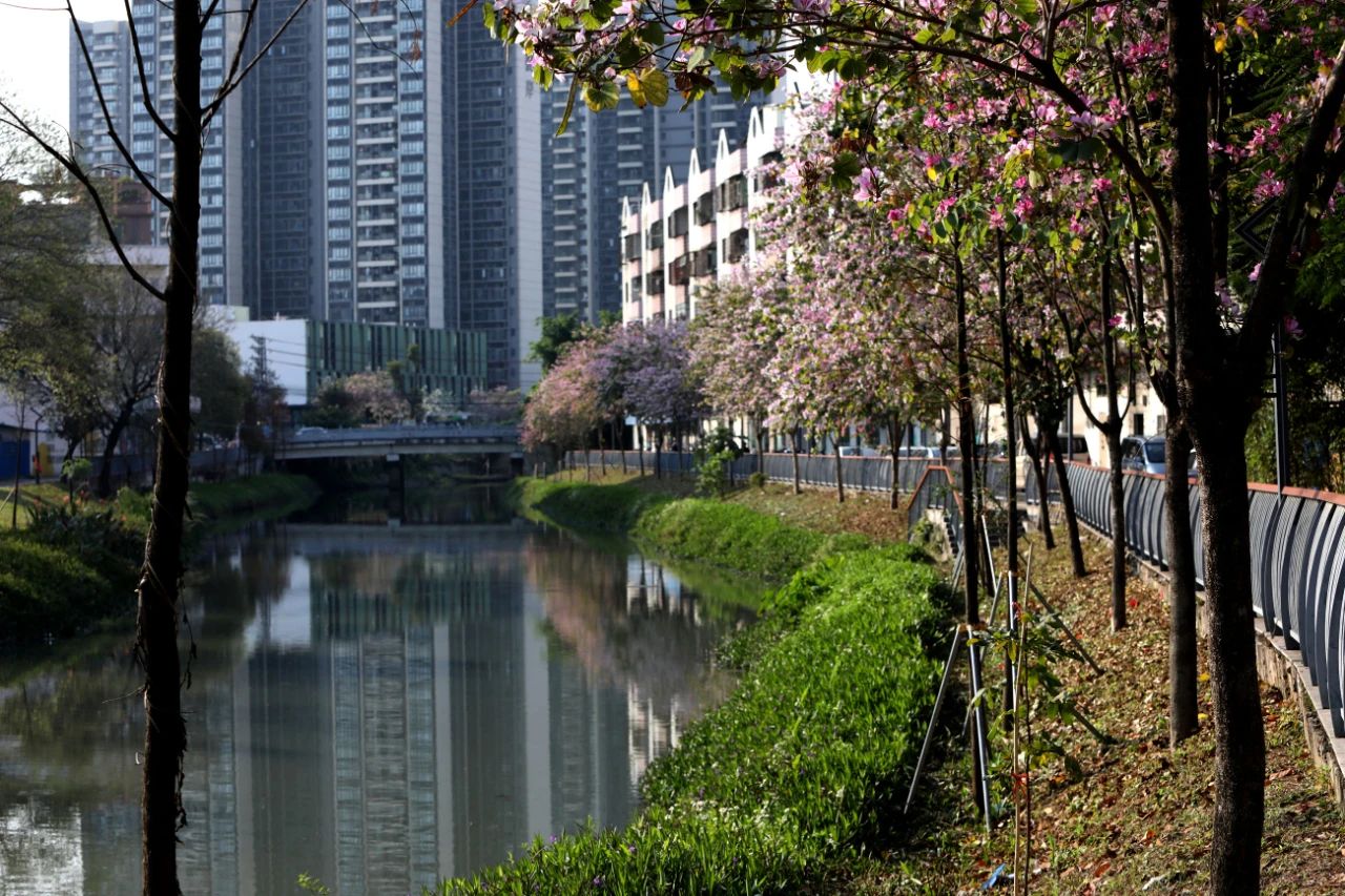 微信图片_20250401103310.jpg