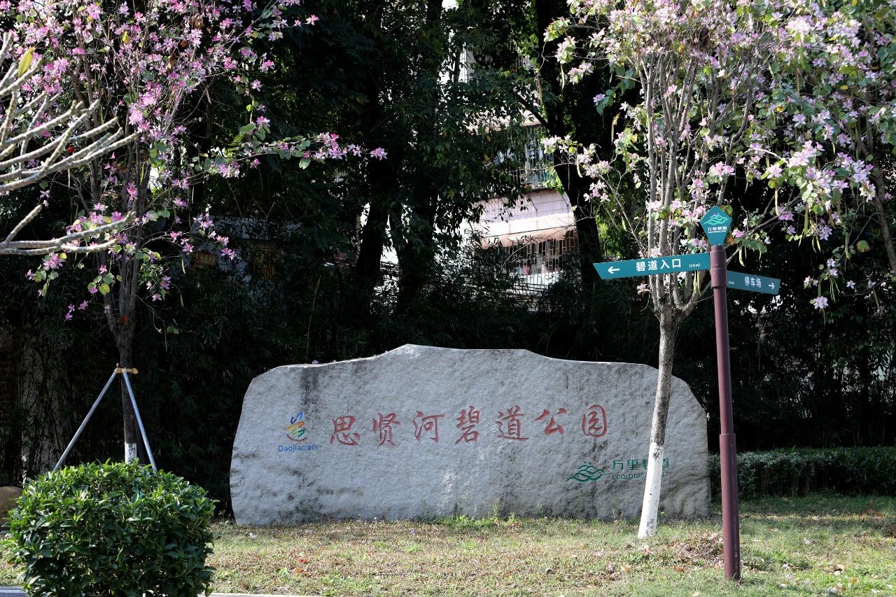 微信图片_20250401103319.jpg