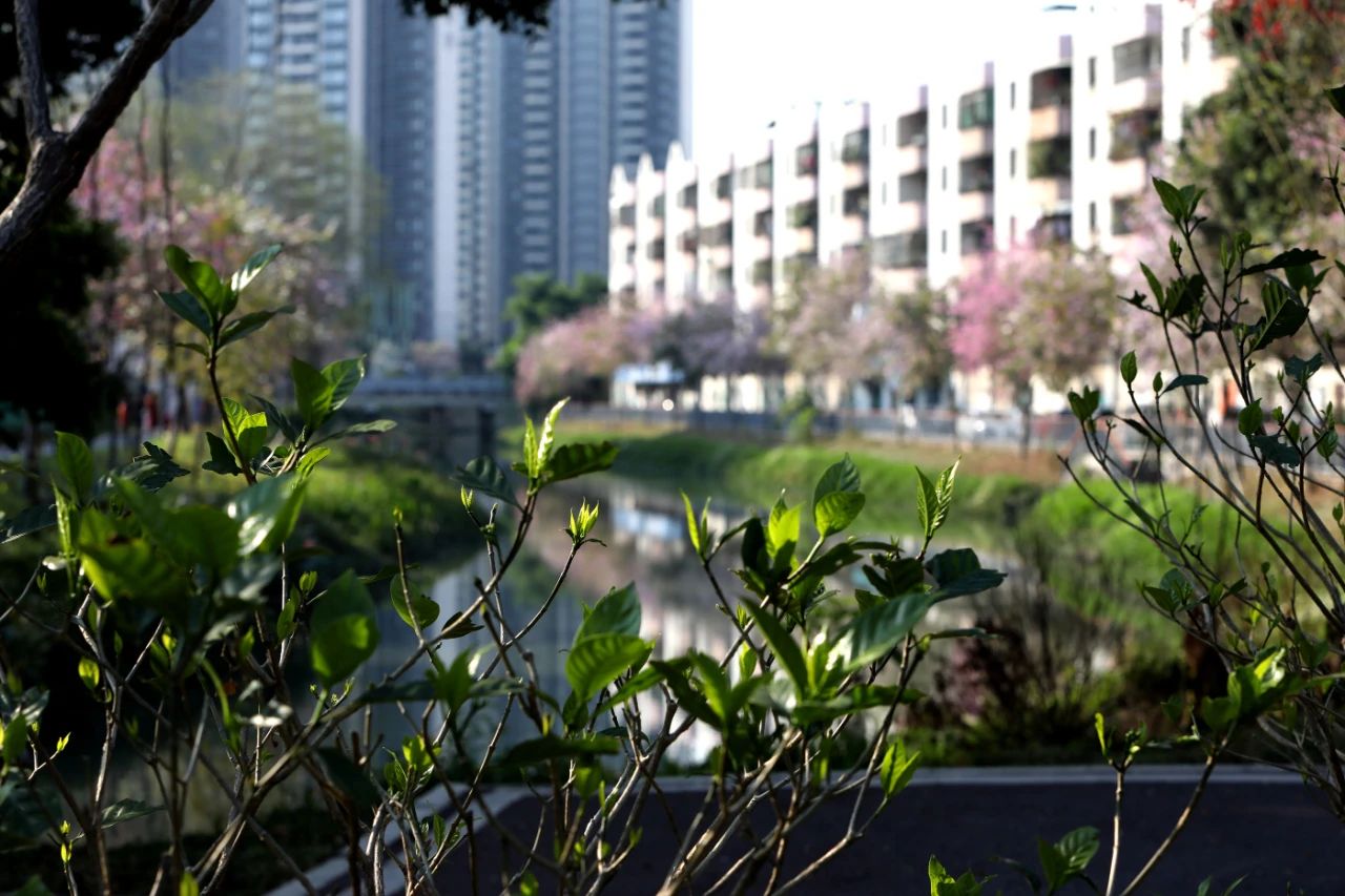 微信图片_20250401103328.jpg