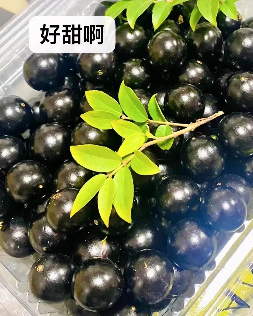 微信图片_20250402083533.jpg
