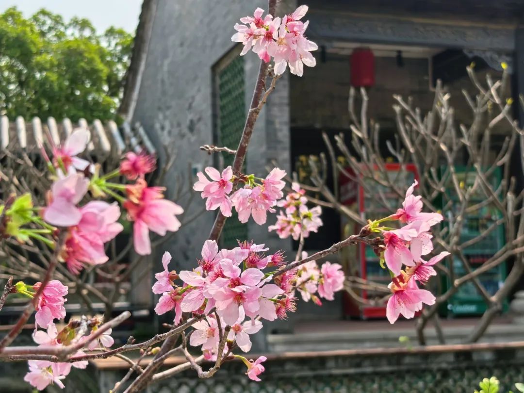 微信图片_20250409111802.jpg