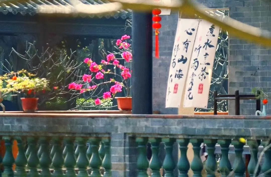 微信图片_20250409112231.jpg