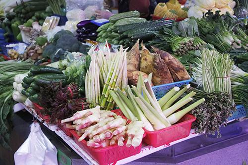 3【标题】野菜鲜美 但不宜随意采食.JPG