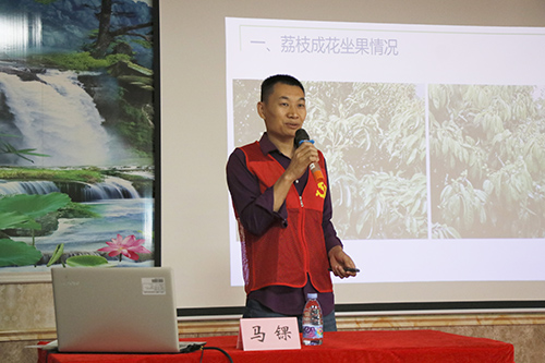 3【标题】大朗举办2025年荔枝农药残留突出问题处理技术培训.JPG