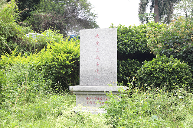 IMG_7772_副本.jpg