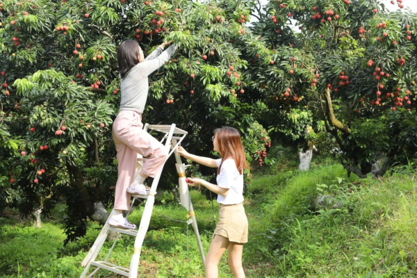 微信图片_2025-05-29_111736_739.png