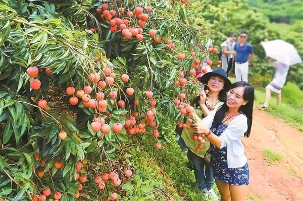 微信图片_2025-05-29_111742_315.png