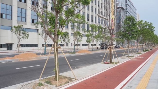 厚街：一批道路工程即将完工 助力经济高质量发展.jpg