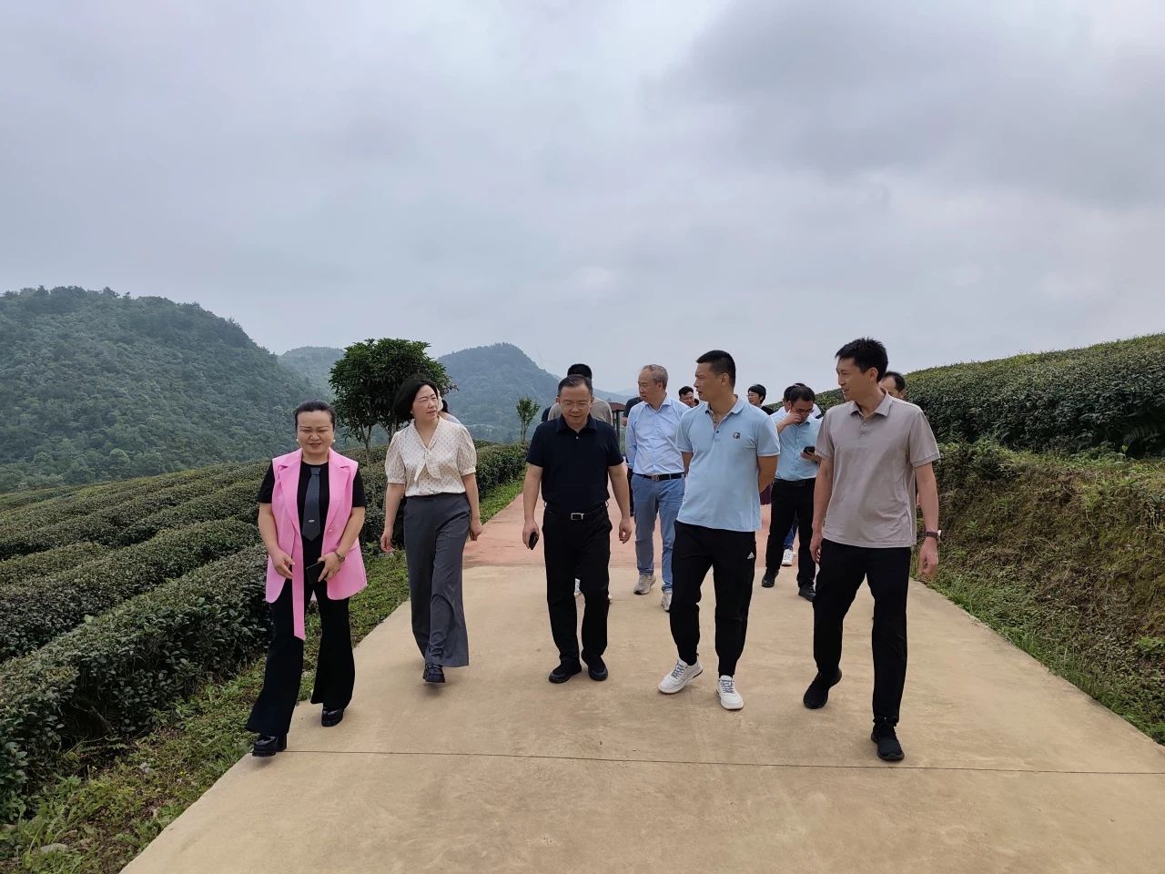 微信图片_20250616131822.jpg