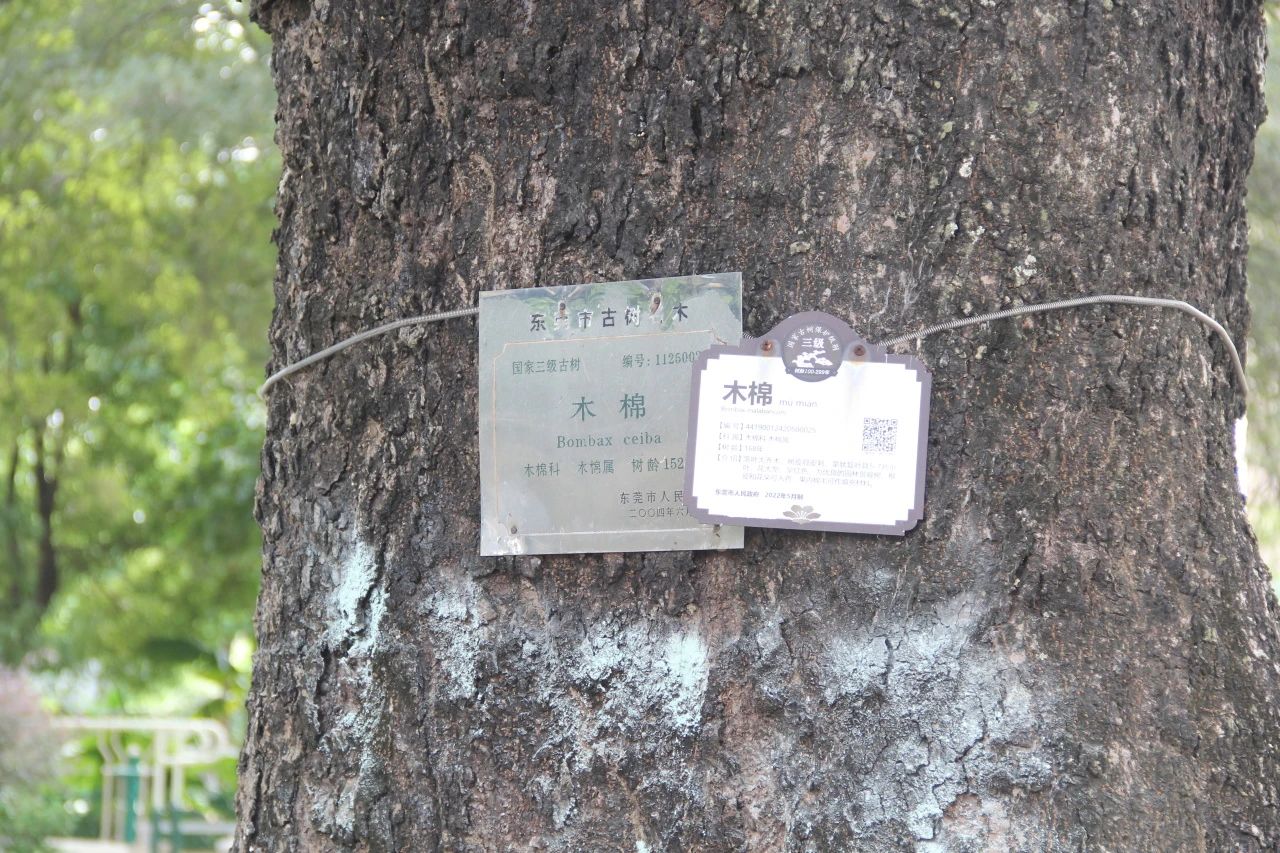 微信图片_20250705102244.jpg