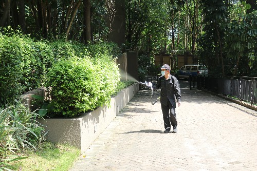 3【标题】大朗各花园小区开展灭蚊行动 (6)~1.jpg