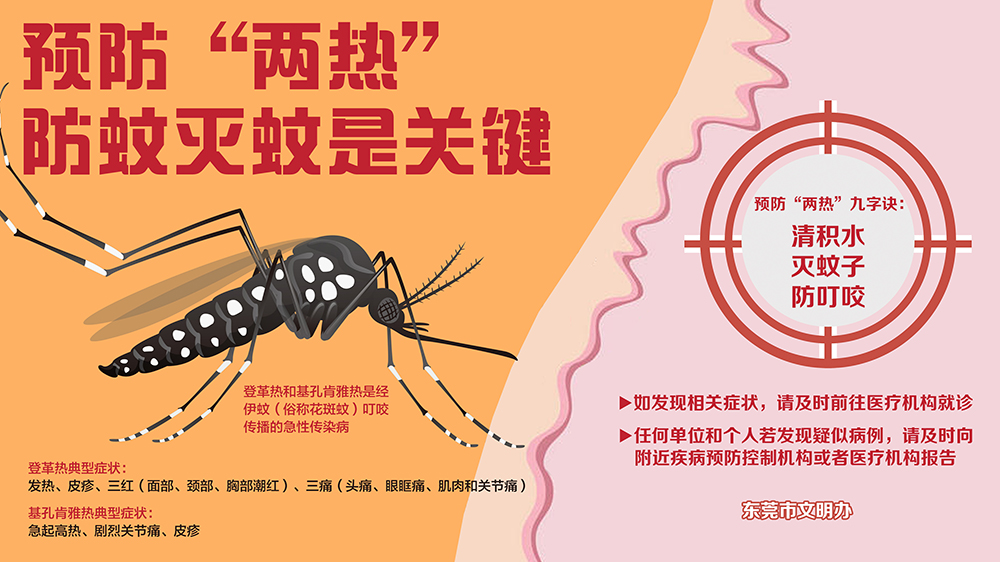 预防“两热”防蚊灭蚊是关键（市文明办）.jpg