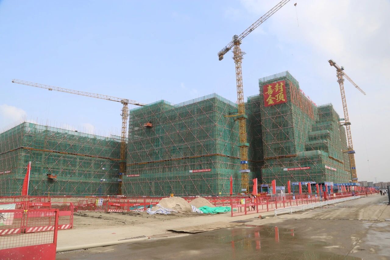 微信图片_2025-10-20_141858_531.jpg