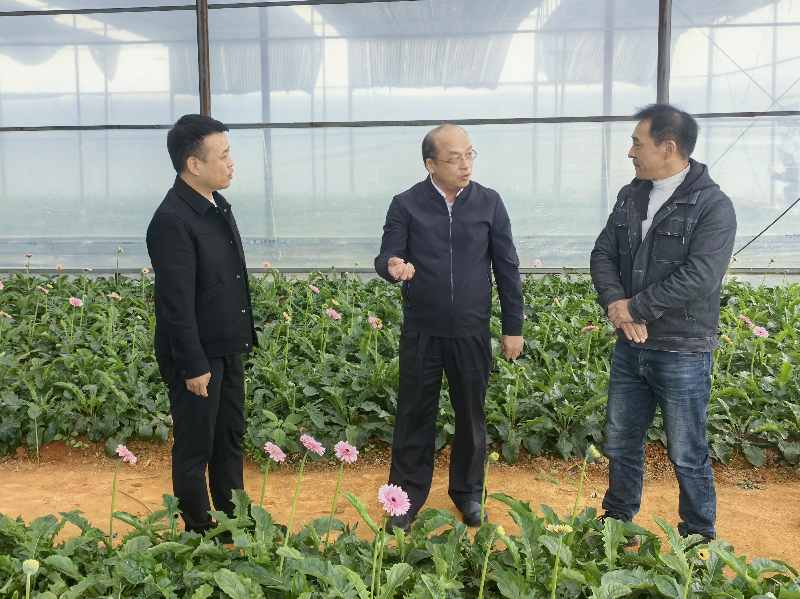 林常务赴铜仁调研1(1).jpg 林常务赴铜仁调研1(1).jpg