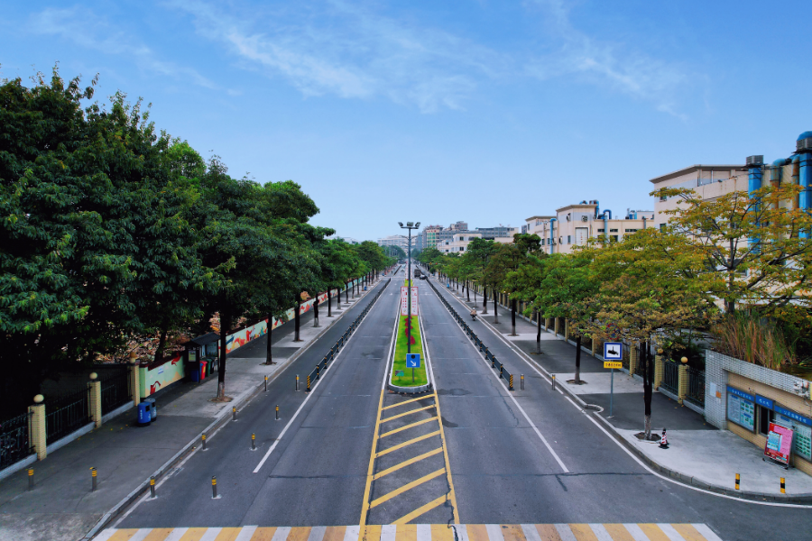 园区道路.jpg