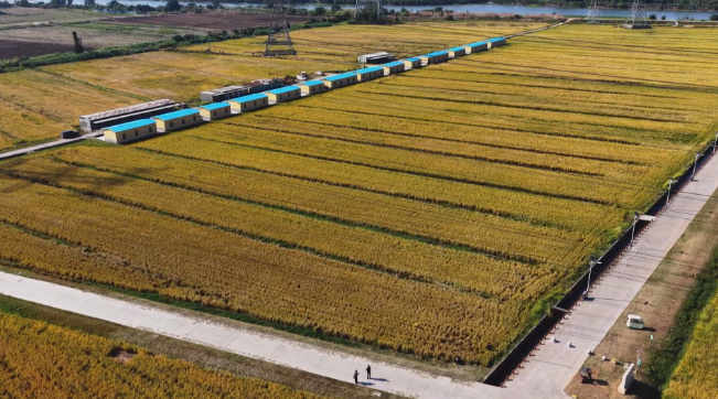 厚街:农文旅融合绘“丰”景 三千亩农田变网红打卡地.png