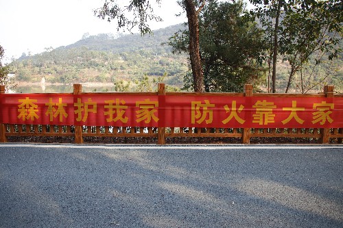 2【标题】大朗织密织牢森林防火线 (2)~1.jpg