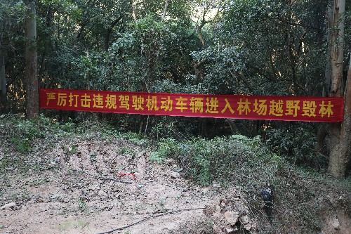 2【标题】大朗多部门联合开展五埂林场森林资源保护行动 (1)~1.jpg