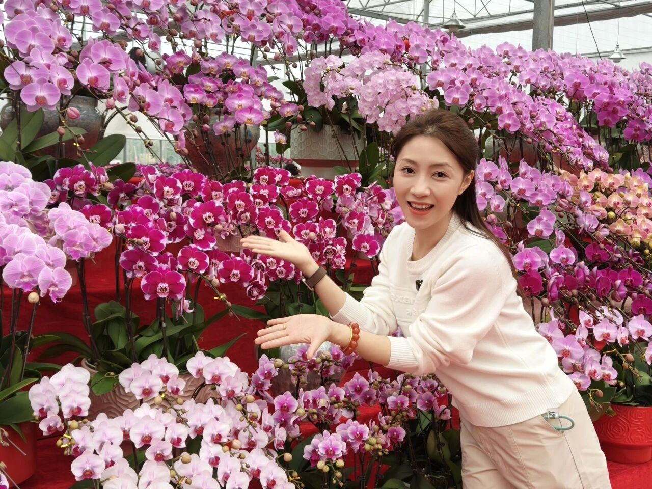 微信图片_2026-01-26_161636_951.jpg