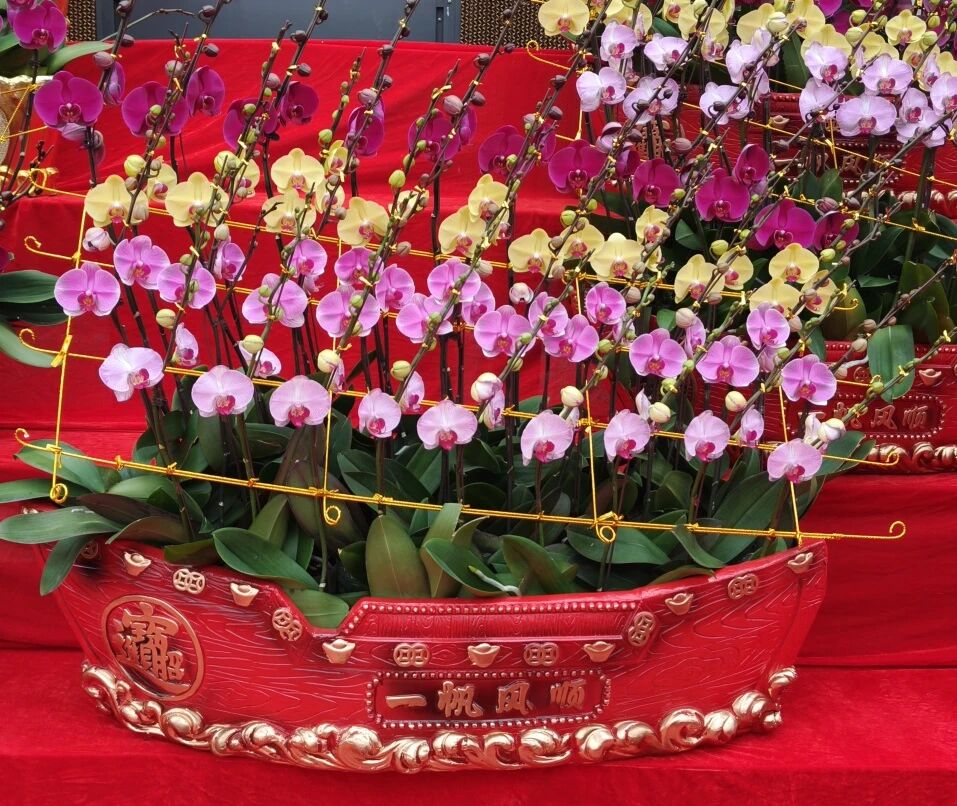 微信图片_2026-01-26_161517_149.jpg