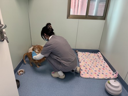 格式工厂3【标题】春节前宠物寄养渐火 宠物“临时家园”预订升温2.jpg