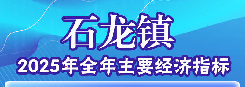 石龙镇2025年全年主要经济指标