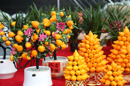 1【标题】大朗迎春花市等你买买买 (3)~1.jpg