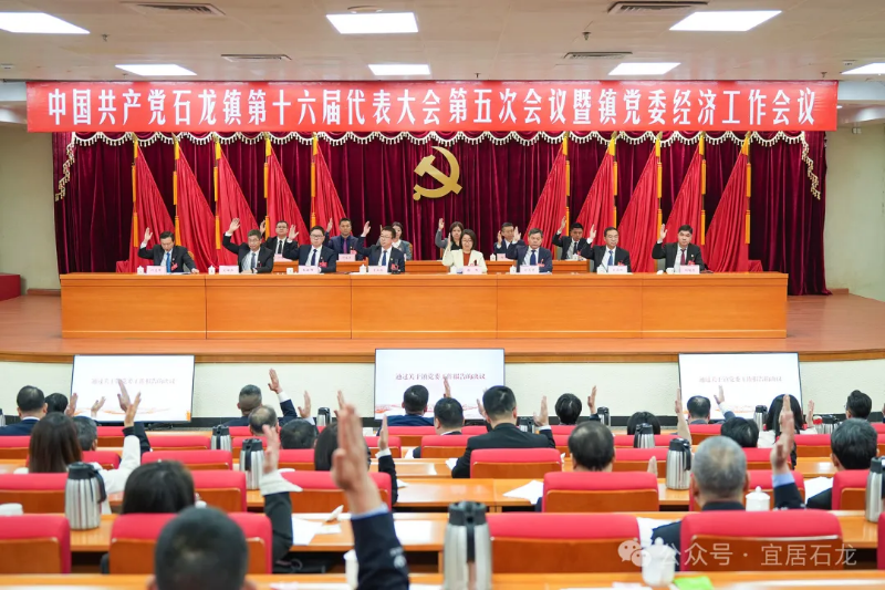 中国共产党石龙镇第十六届代表大会第五次会议暨镇党委经济工作会议召开