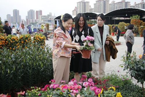 1【标题】大朗迎春花市等你买买买 (3)~1.jpg