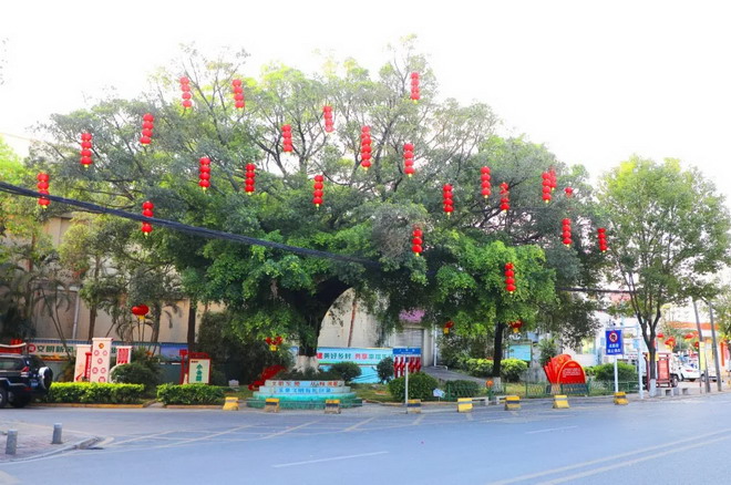 6_调整大小.jpg