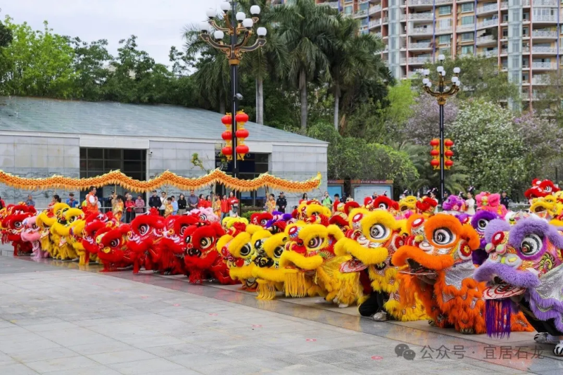 太燃了！石龙30头醒狮闹元宵，全城巡游送福气