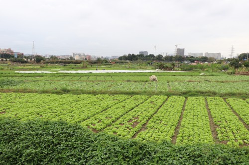 格式工厂2【标题】万物始复苏 春耕景象忙1.jpg