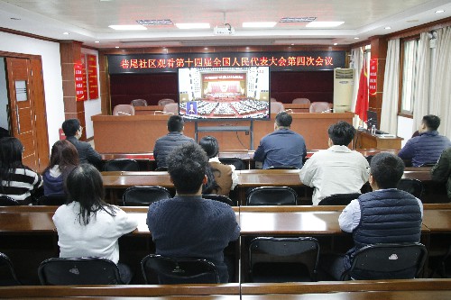 1【标题】大朗镇巷尾社区集中收看十四届全国人大四次会议 (2)~1.jpg