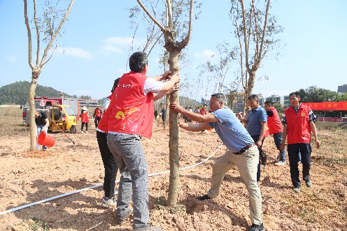 2【标题】绿美大朗 植绿正当时 (1)~1.jpg