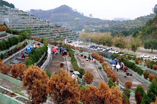 1【标题】清明假期 祭祖秩序井然 (64)~2.jpg