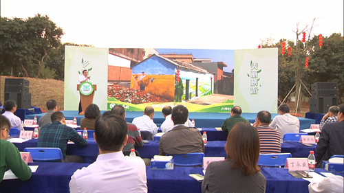 第二场斗牛大会.jpg