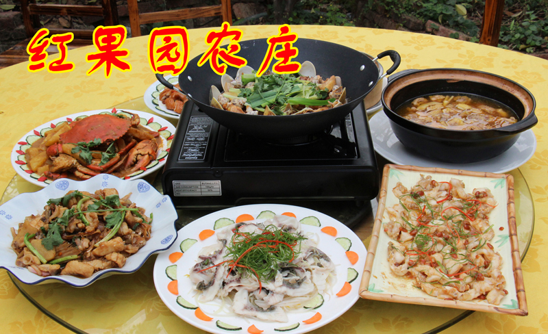 中国东莞清溪镇栏目 文旅清溪 特色旅游 魅力清溪 食在清溪 十大农庄