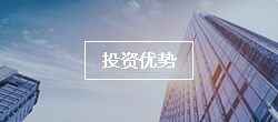 投资优势