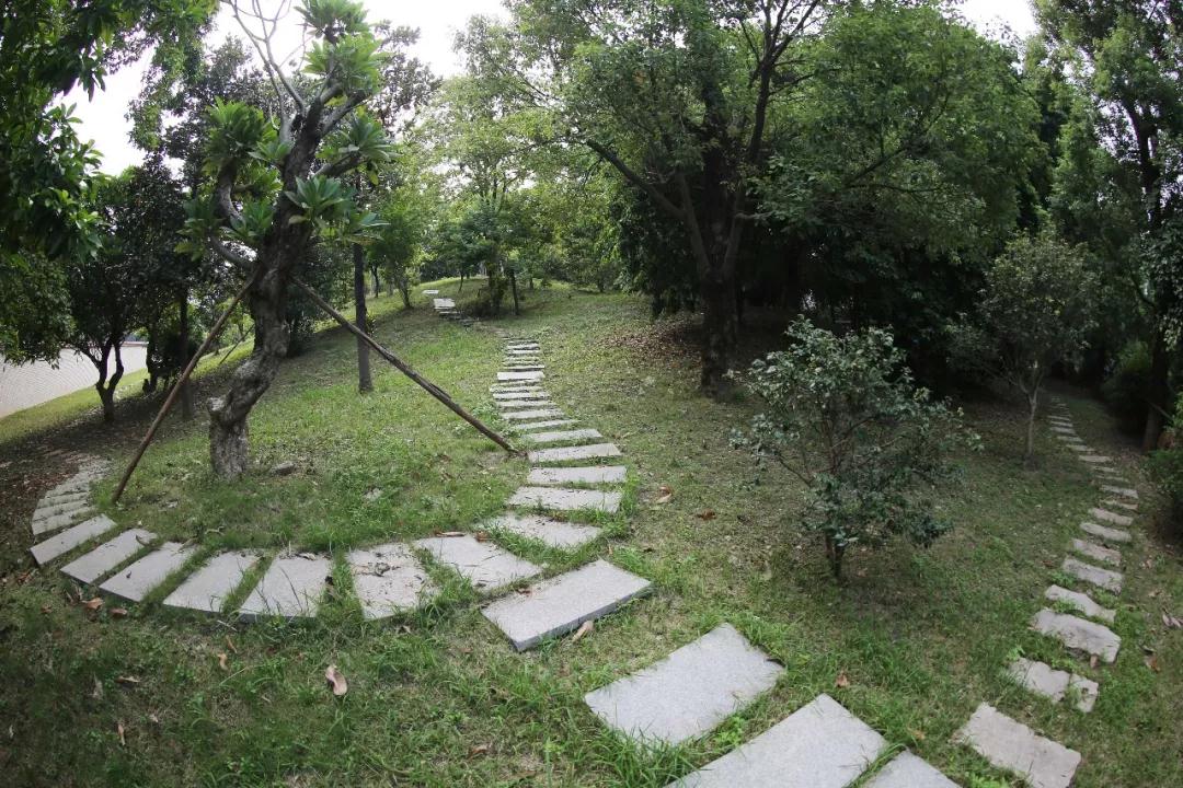 高埗中心区体育公园正式对外开放市民休闲健身又多一个好去处