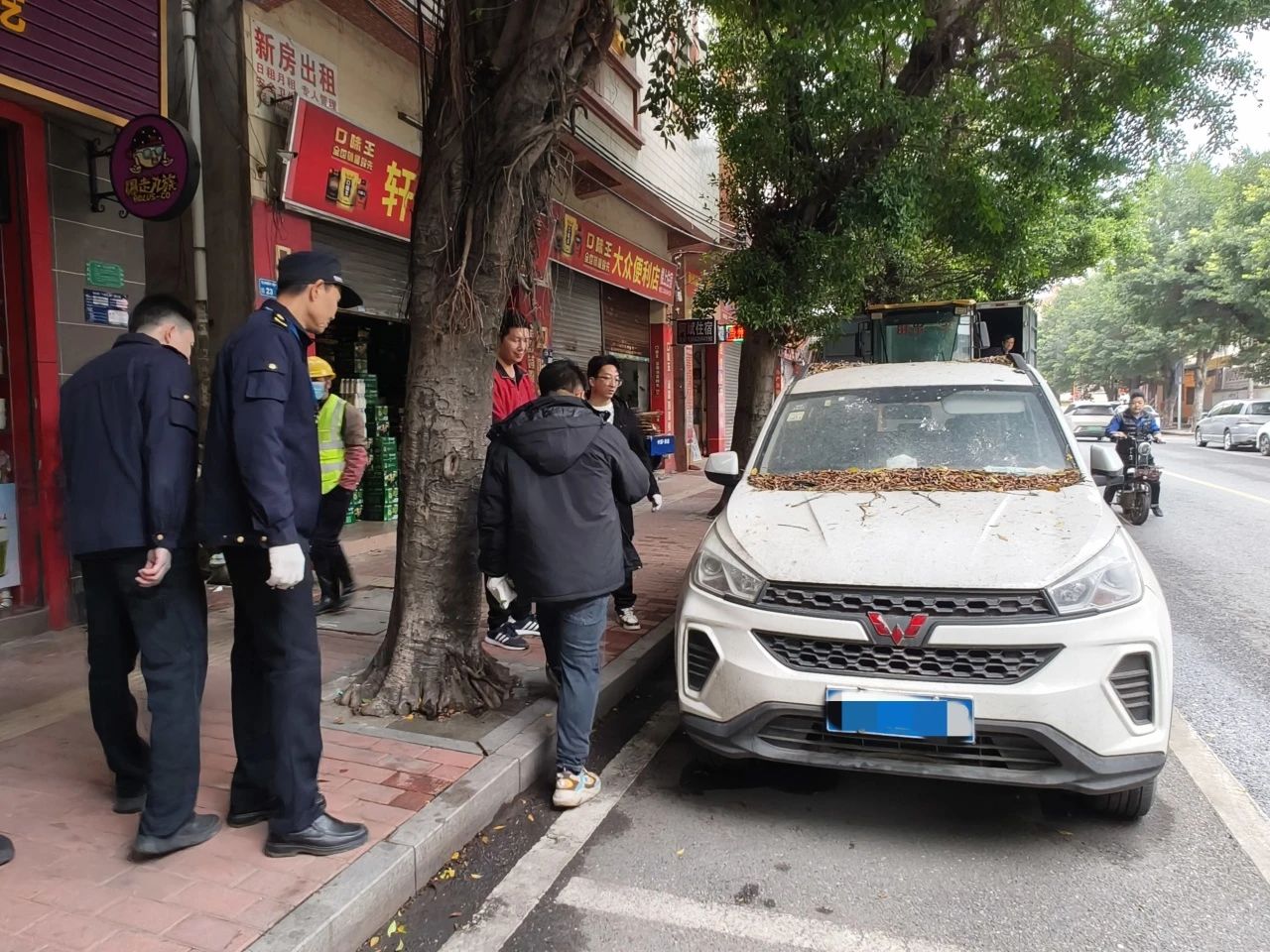 微信图片_20250407150440.jpg