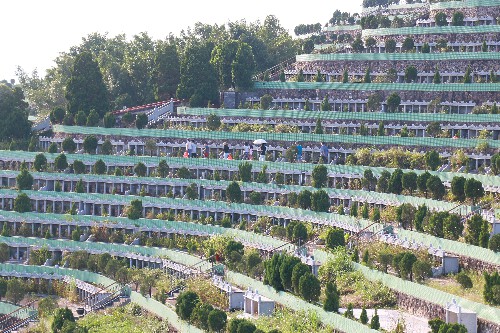 2【标题】大朗：重阳祭祖 秩序井然 (6)~1.jpg