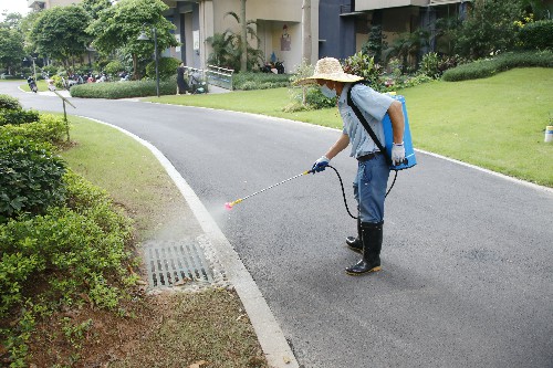 3【标题】预防登革热 防蚊灭蚊是关键 (3)~1.jpg