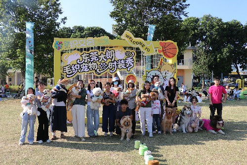 【微信网站】东莞大朗毛织宠物时装秀“萌”翻全场 (2)~2.jpg